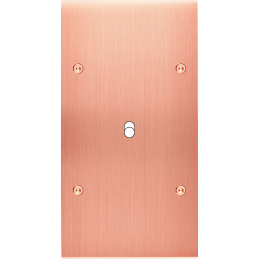 Placa del interruptor...