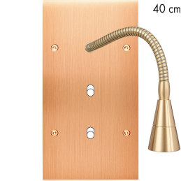 Switch plate Confidence...