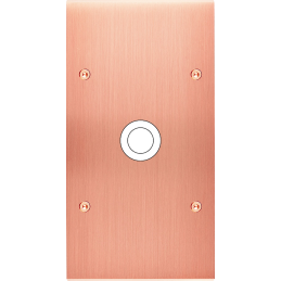 Placa del interruptor...