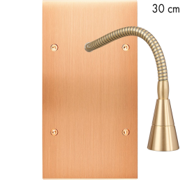 Switch plate Confidence...