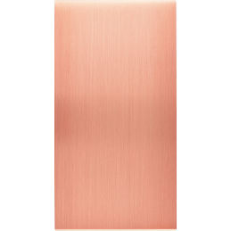 Placa del interruptor...