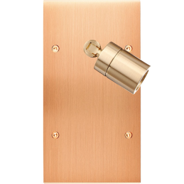 Placa de interrutor...