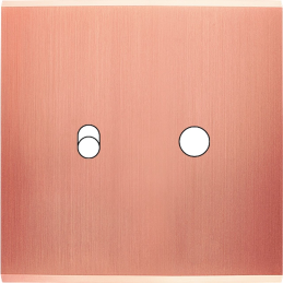 Placa de interrutor...