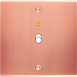 Placa de interrutor...