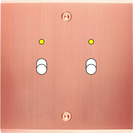 Placa del interruptor...