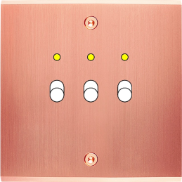 Placa del interruptor...