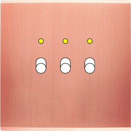 Switch plate Confidence...