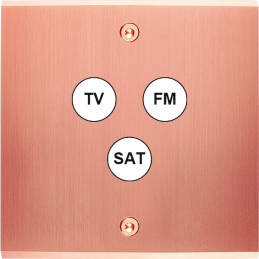 Placa del interruptor...