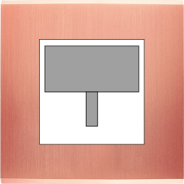 Placa del interruptor...