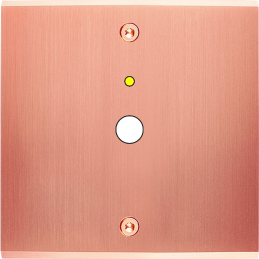 Placa del interruptor...