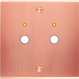 Placa del interruptor...