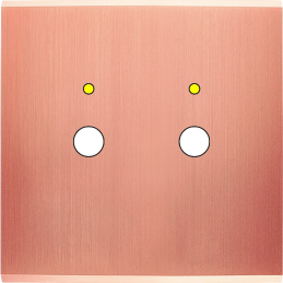 Placa de interrutor...