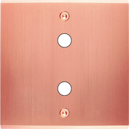 Placa de interrutor...