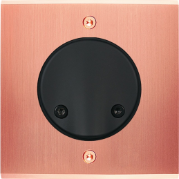 Placa del interruptor...