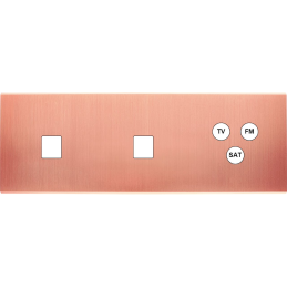 Placa del interruptor...