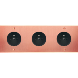 Placa del interruptor...