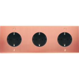 Placa del interruptor...