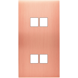 Placa del interruptor...