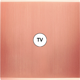 Placa de interrutor...