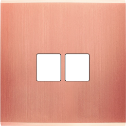 Placa del interruptor...