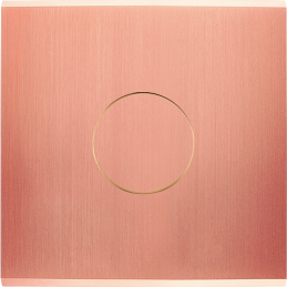 Façade Confidence laiton...