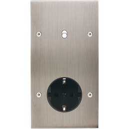 Placa del interruptor...