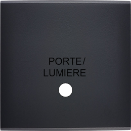 Placa del interruptor...