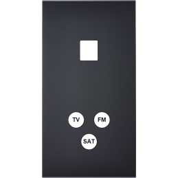 Placa del interruptor...