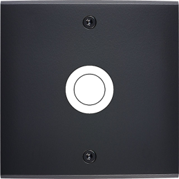 Placa de interrutor...