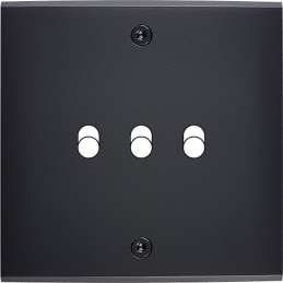 Placa de interrutor...