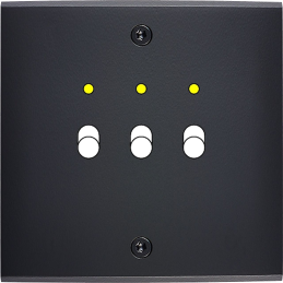 Placa de interrutor...