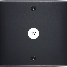 Placa de interrutor...