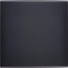 Placa del interruptor...