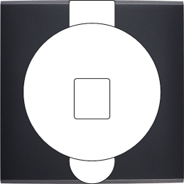 Placa de interrutor...