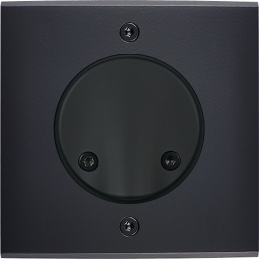 Placa de interrutor...