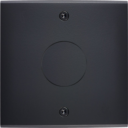 Placa de interrutor...