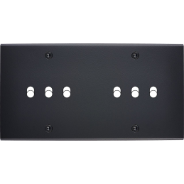 Placa del interruptor...