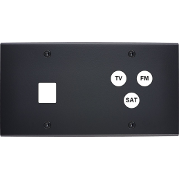 Placa del interruptor...