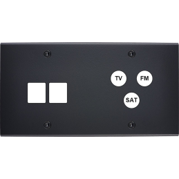 Placa del interruptor...