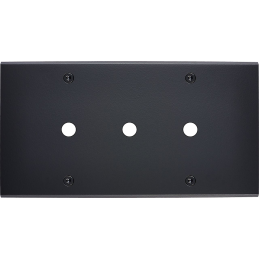 Placa del interruptor...