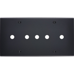 Placa de interrutor...