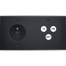 Placa del interruptor...