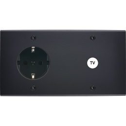 Placa del interruptor...