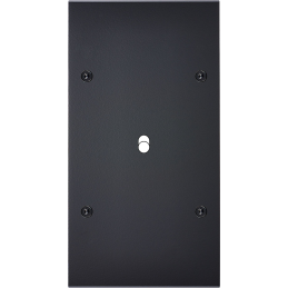 Placa del interruptor...