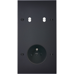 Placa de interrutor...