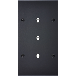 Placa del interruptor...