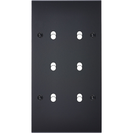 Placa del interruptor...