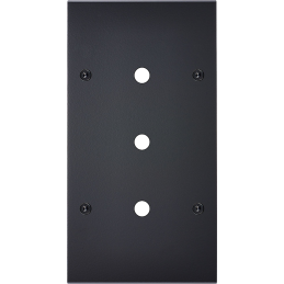 Placa del interruptor...