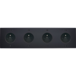 Placa del interruptor...