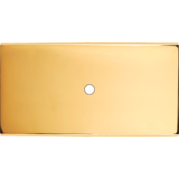 Switch plate Confidence...